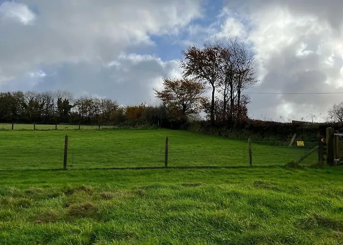 Woodland View At Hewish Mill